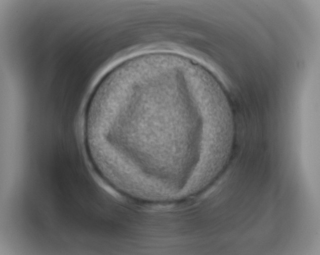 X0000113291519200910051050