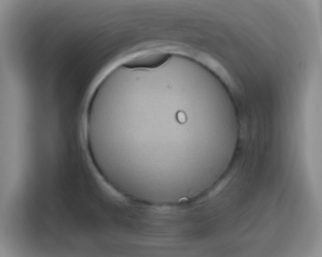 X0000113291520200910051050