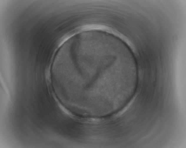 X0000113291521200910051050