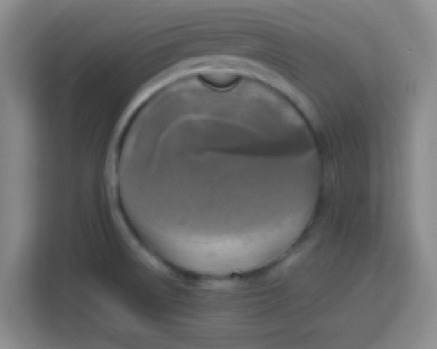 X0000113291522200910051050