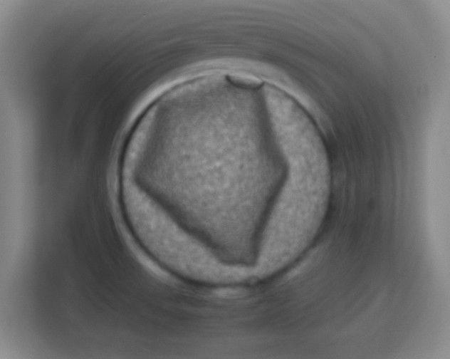 X0000113291523200910051050