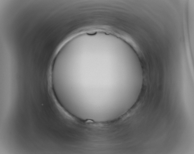 X0000113291524200910051050