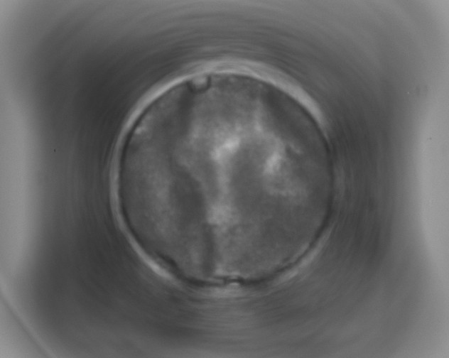 X0000113291525200910051050