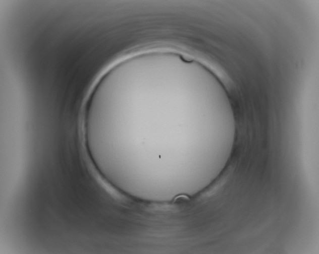 X0000113291526200910051050