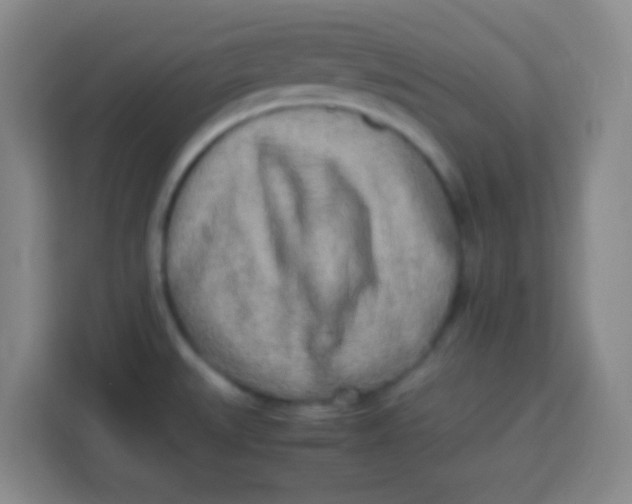 X0000113291527200910051050