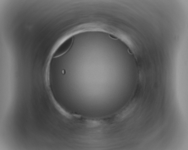 X0000113291528200910051050