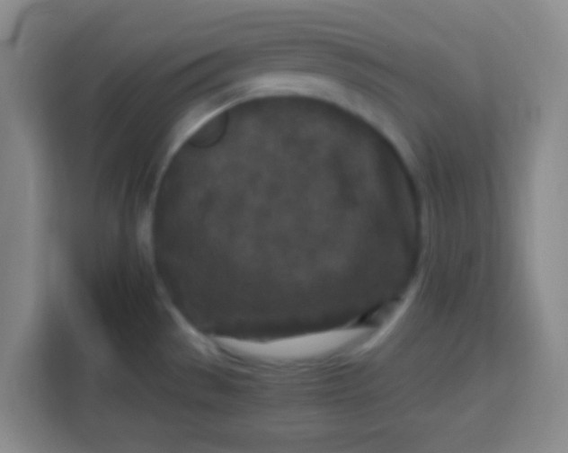 X0000113291529200910051050