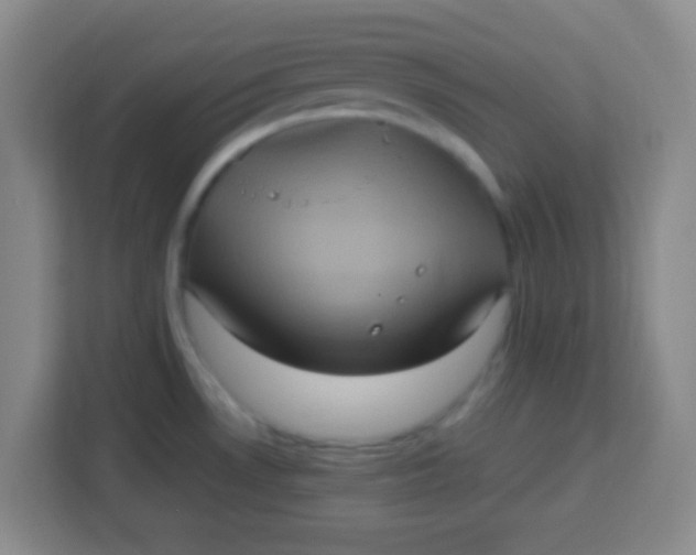 X0000113291530200910051050