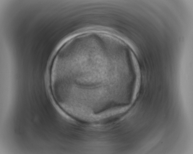 X0000113291531200910051050