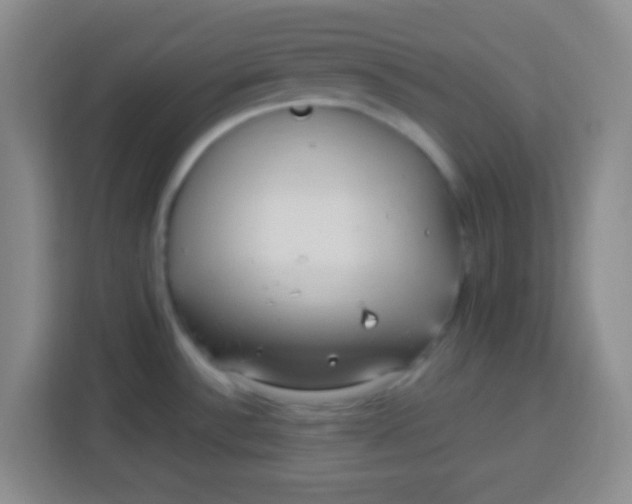 X0000113291532200910051050