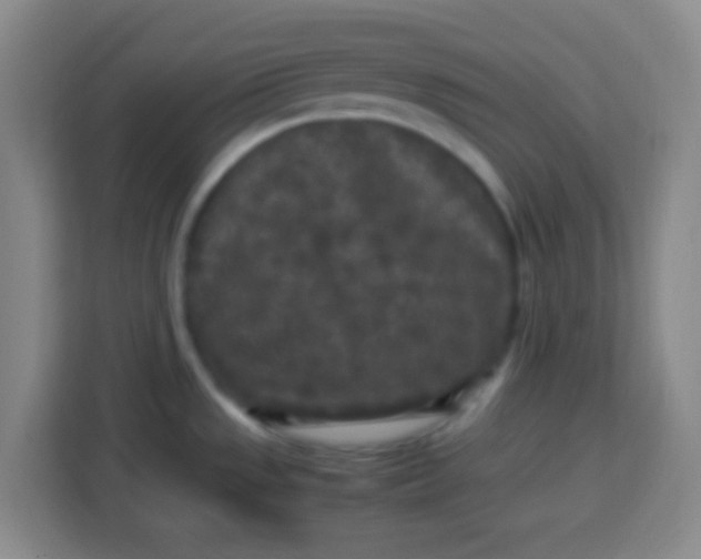 X0000113291533200910051050