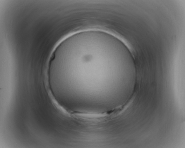 X0000113291534200910051050