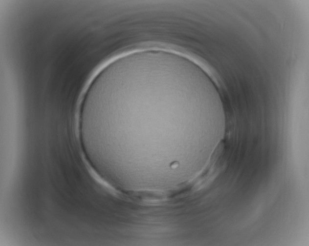 X0000113291535200910051050