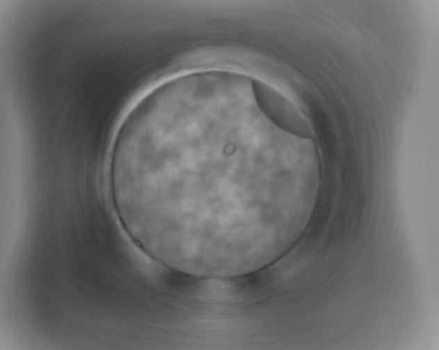 X0000113291536200910051050