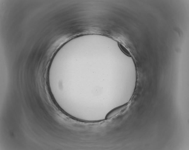 X0000113290001200910131036
