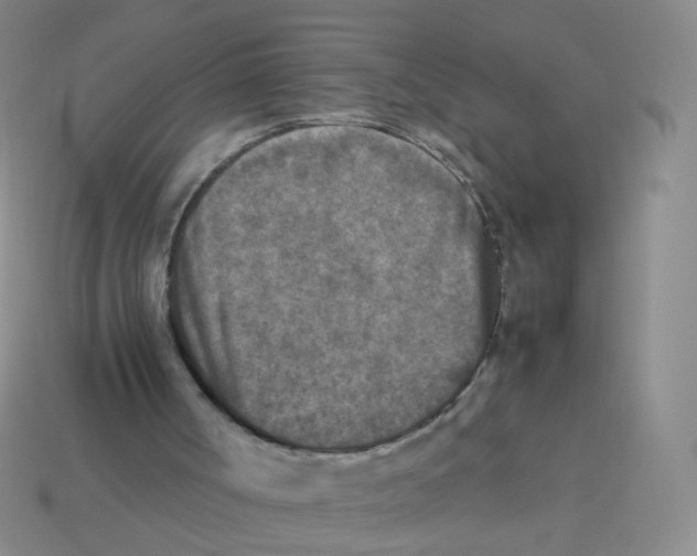 X0000113290002200910131036