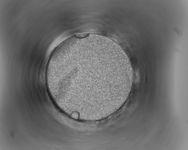 X0000113290004200910131036