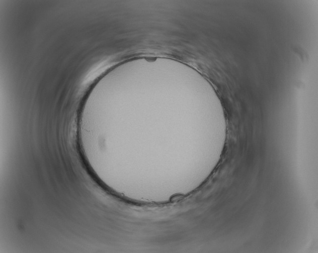 X0000113290005200910131036