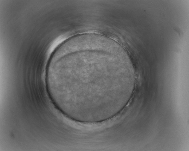 X0000113290006200910131036