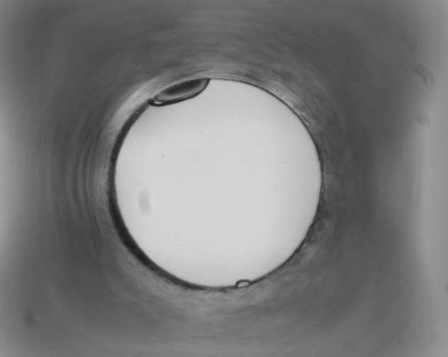 X0000113290007200910131036