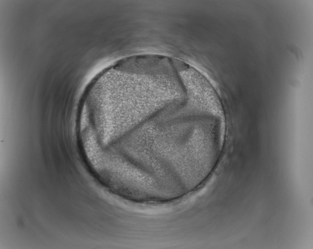 X0000113290008200910131036