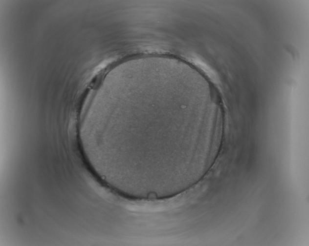 X0000113290009200910131036
