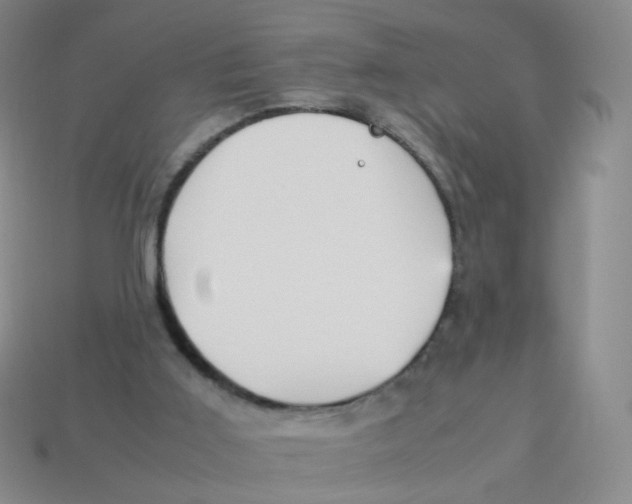 X0000113290011200910131036