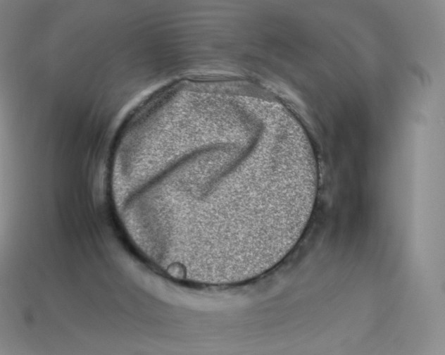 X0000113290012200910131036