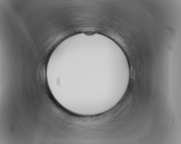 X0000113290013200910131036