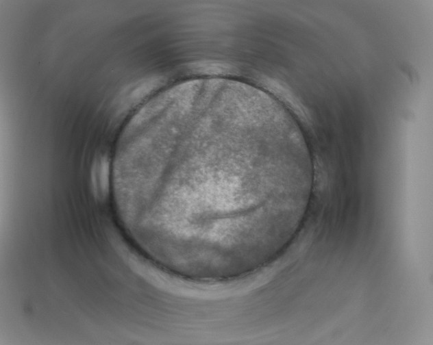X0000113290014200910131036