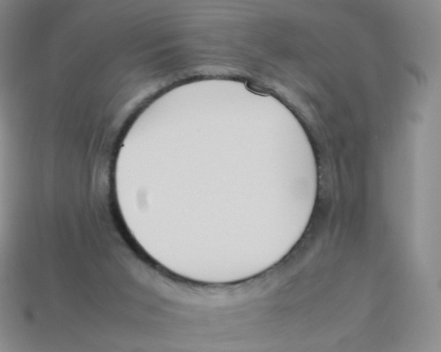 X0000113290015200910131036