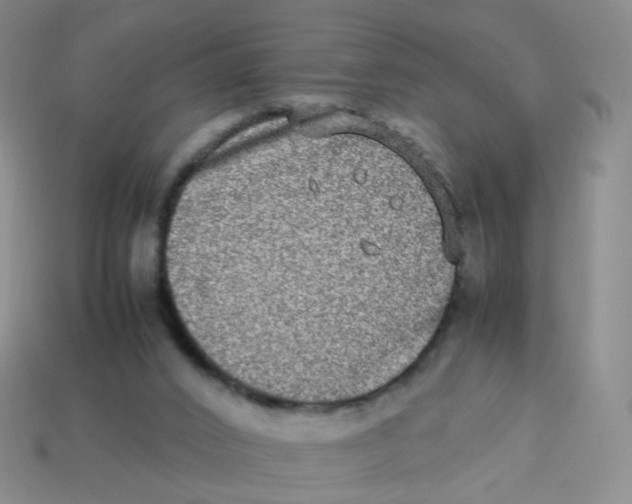 X0000113290016200910131036