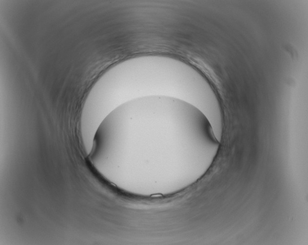 X0000113290017200910131036