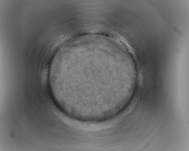 X0000113290018200910131036