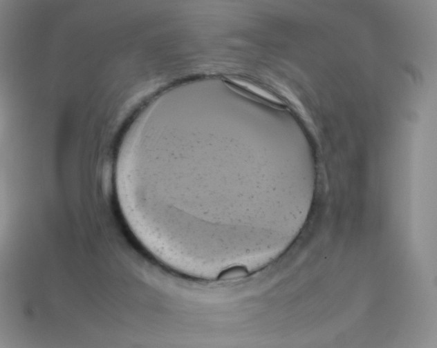 X0000113290019200910131036