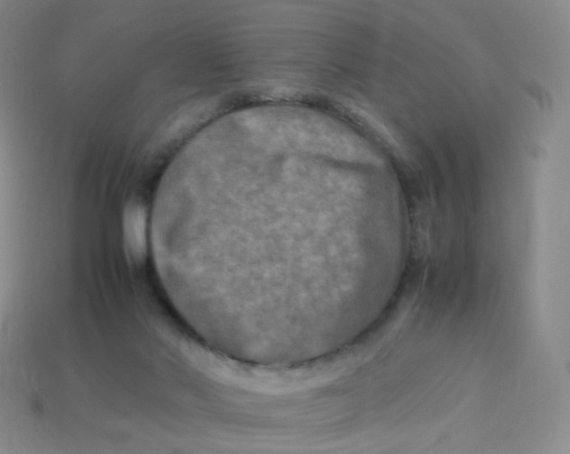 X0000113290022200910131036