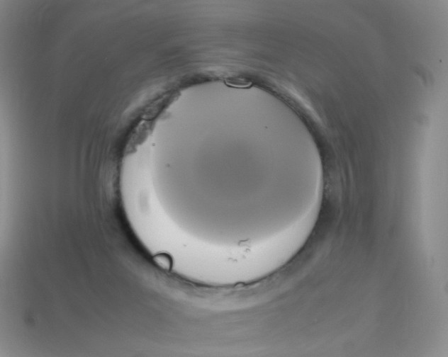X0000113290023200910131036