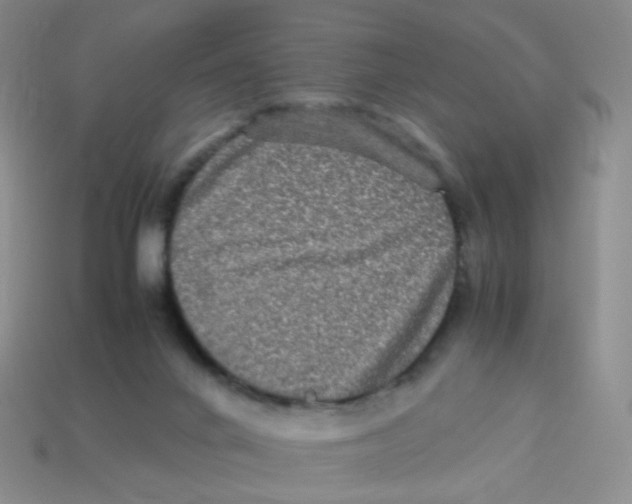 X0000113290024200910131036