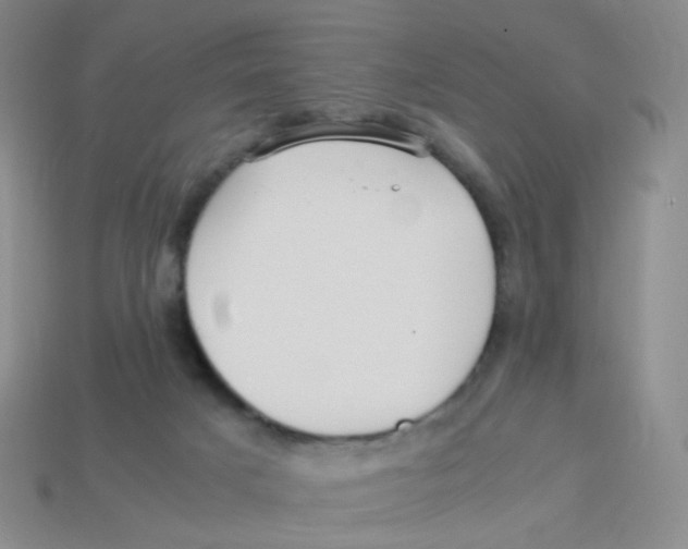 X0000113290025200910131036