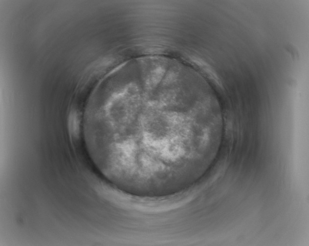 X0000113290026200910131036