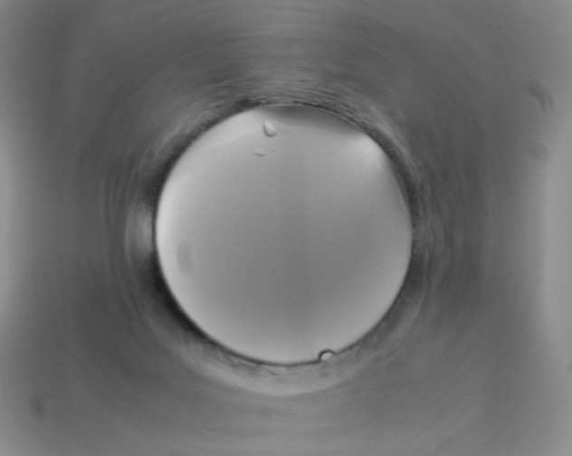 X0000113290027200910131036