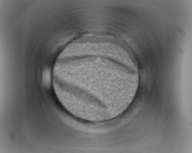 X0000113290028200910131035