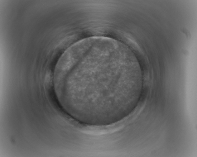 X0000113290029200910131035