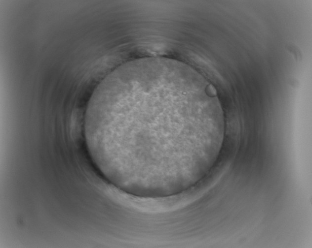 X0000113290030200910131035