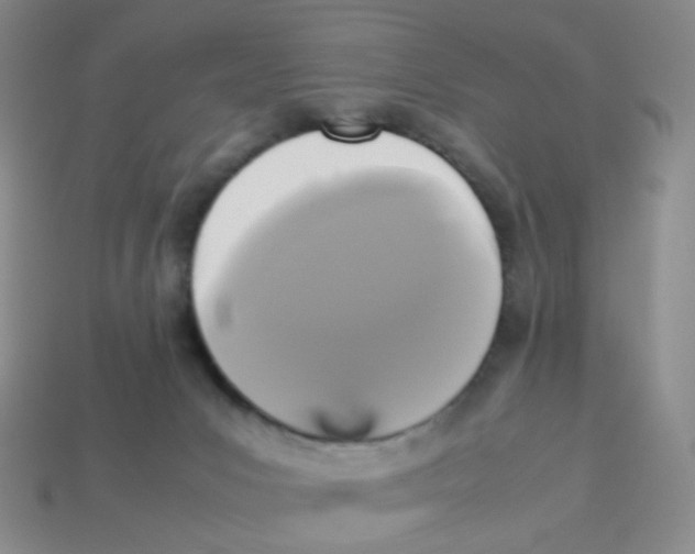 X0000113290031200910131035