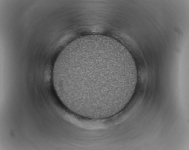 X0000113290032200910131035