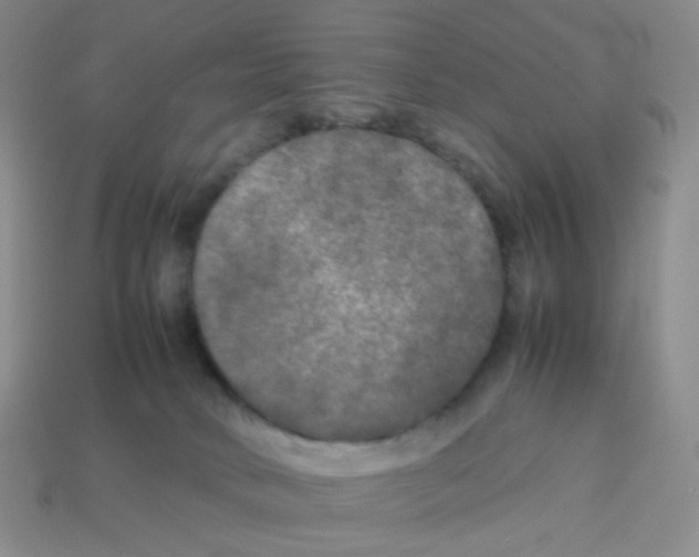 X0000113290034200910131035