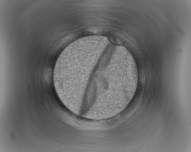 X0000113290036200910131035
