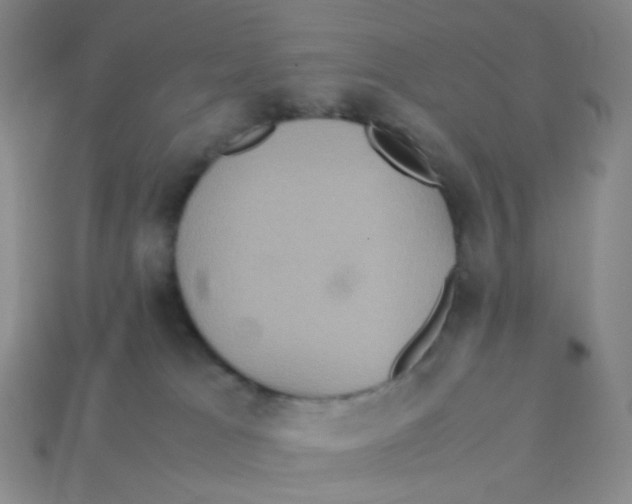 X0000113290037200910131035