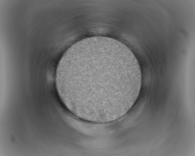 X0000113290040200910131035